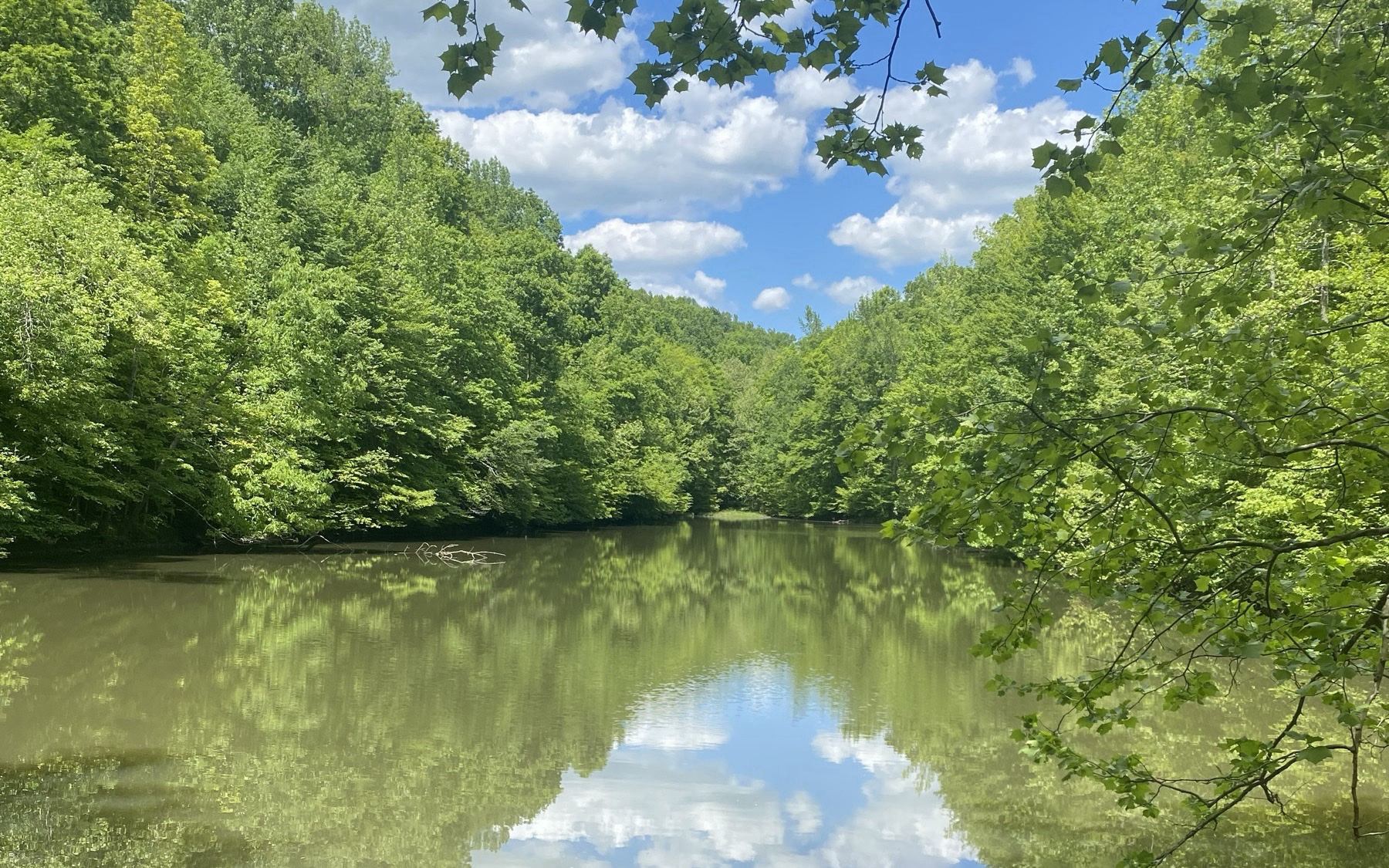 5478 Pinewood Road sold 60-acre spring-fed lake farm Franklin Williamson County Tennessee