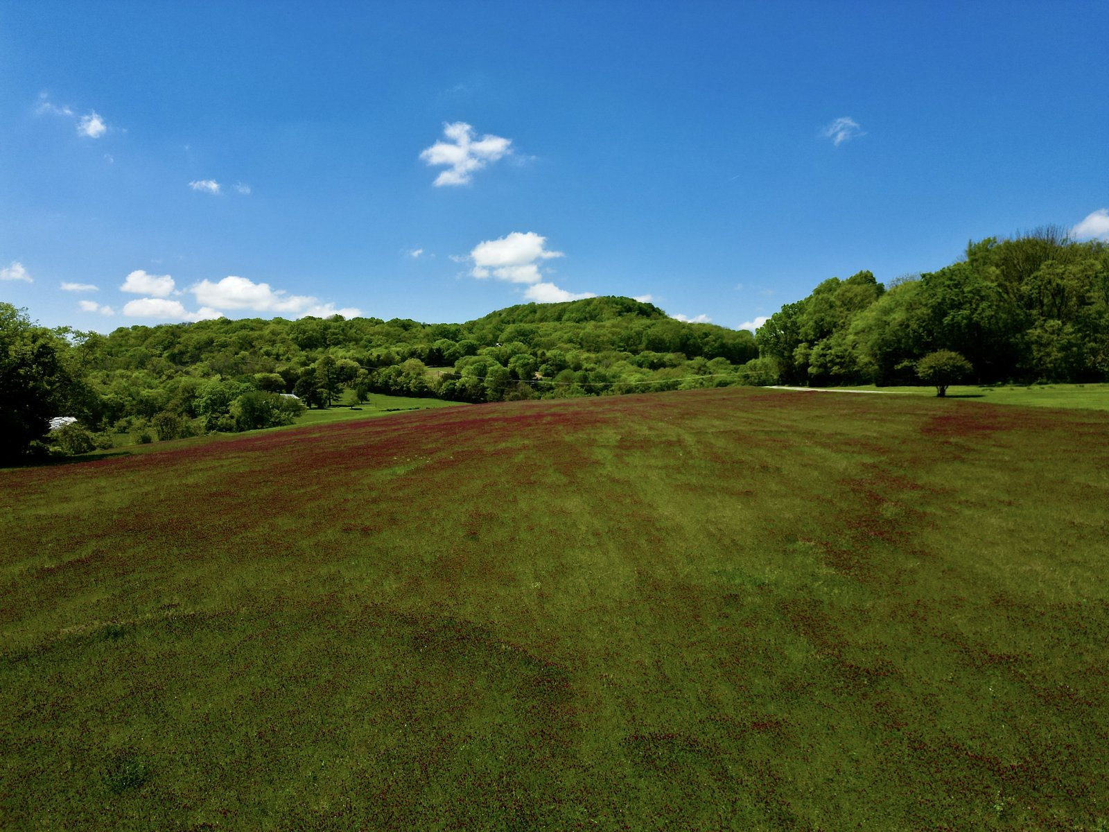 Rolling farmland in Middle Tennessee