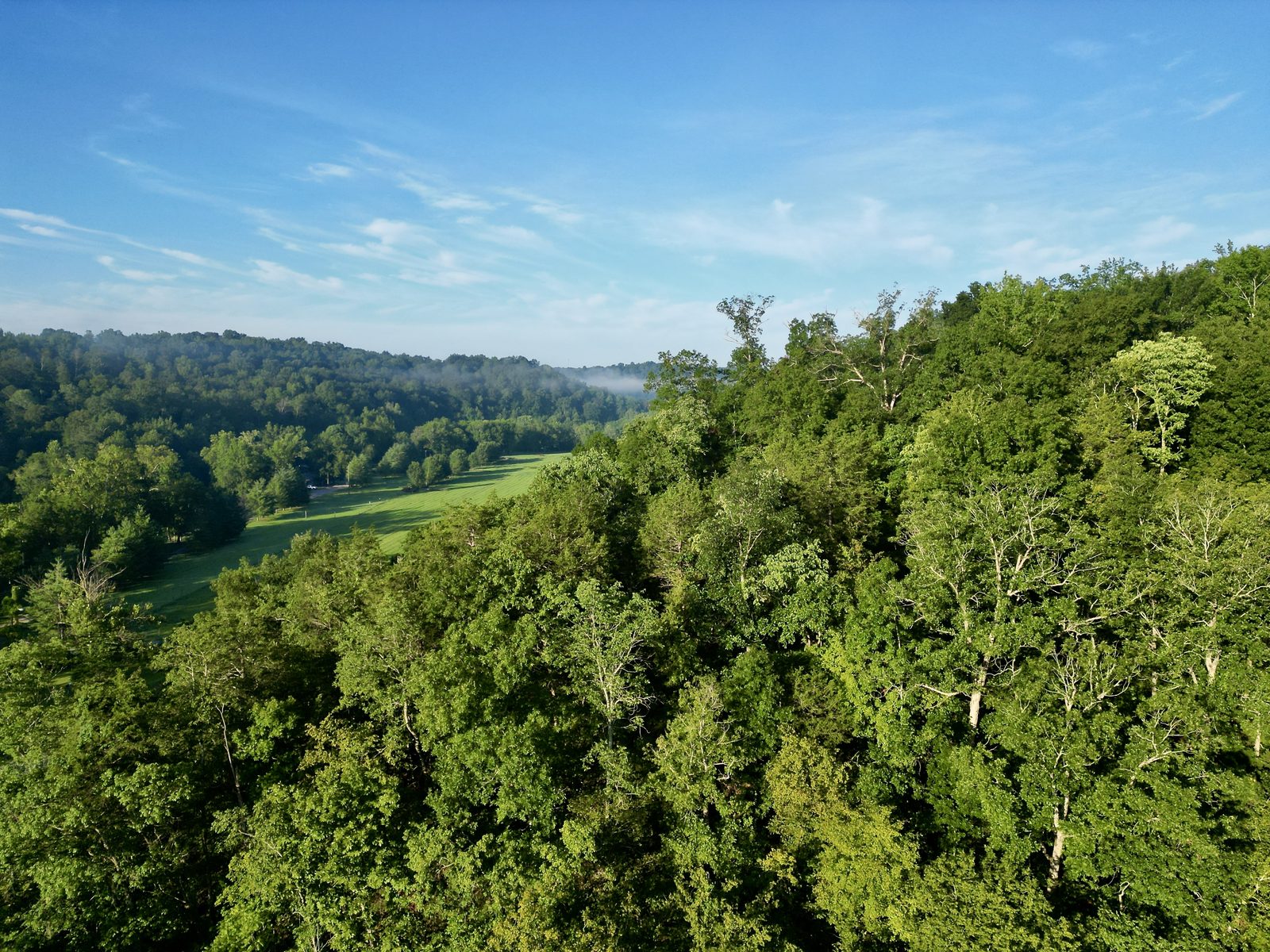 Wilson County Tennessee open land