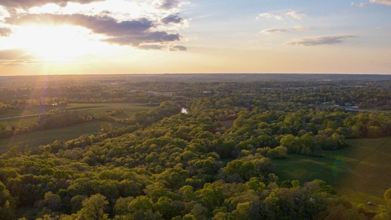 Big Bear Bluffs sold 424 acres Duck River tract Columbia Maury County Tennessee