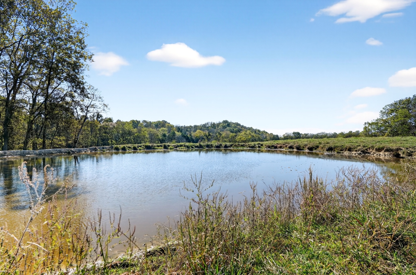 Scenic creek winding through Tennessee woodland property